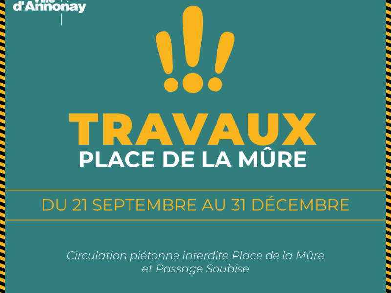 TRAVAUX : Place de la Mûre
