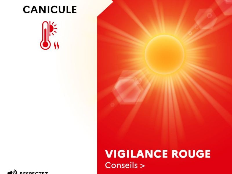 CANICULE : Vigilance ROUGE