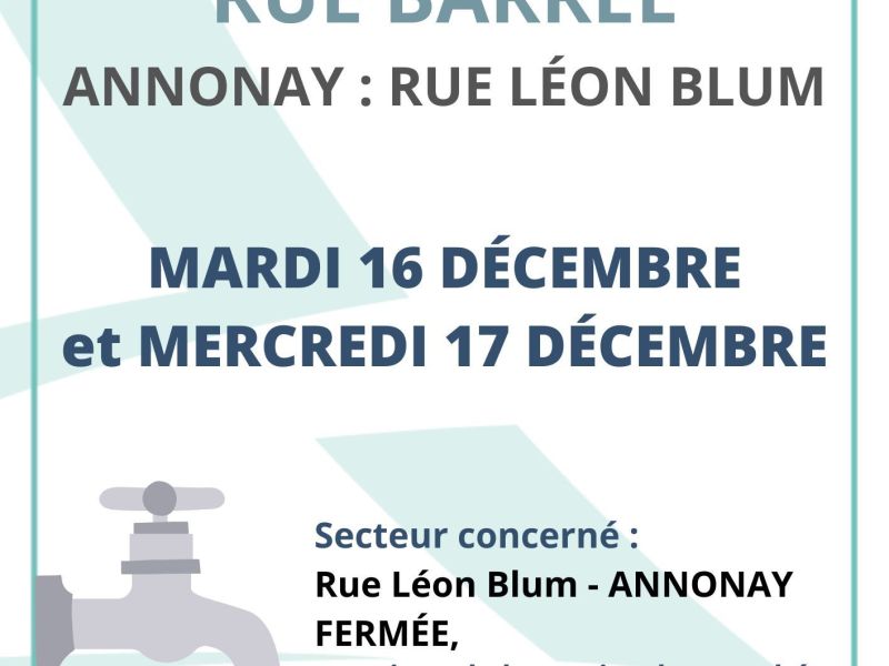 TRAVAUX : Rue Léon Blum fermée