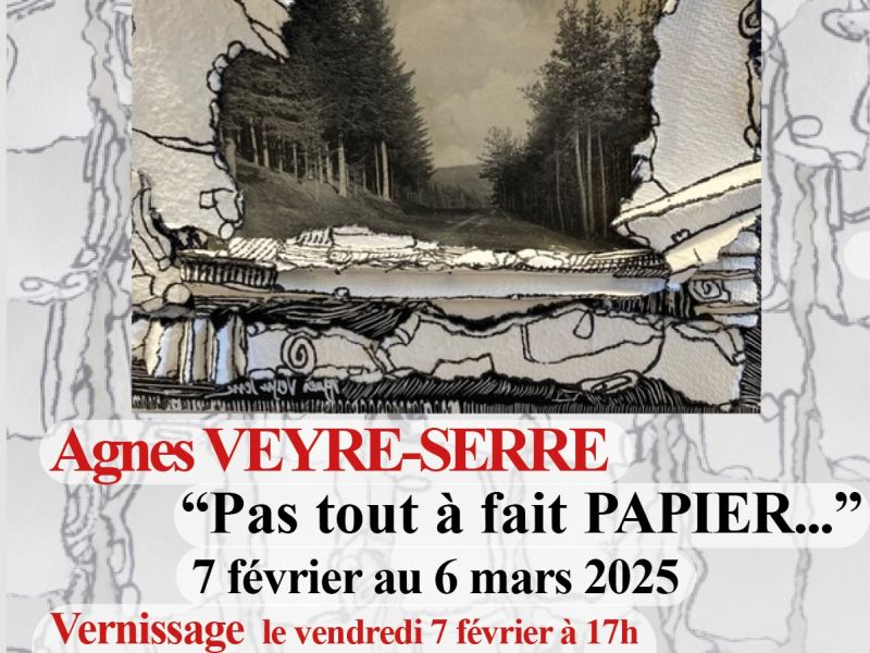exposition "PAS TOUT A FAIT PAPIER..." d'Agnès VEYRE-SERRE